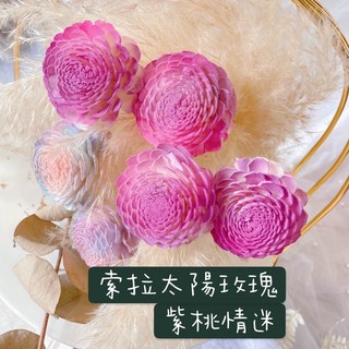 大地農園索拉玫瑰 乾燥花素材-日本進口太陽玫瑰 索拉花 通草花 繽紛染款（莓果歐蕾）婚禮佈置/手作素材/攝影道具/新娘捧花, 職業裝莓果色4朵贈1朵