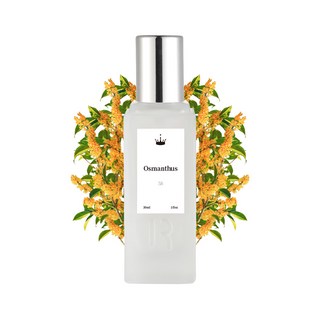 오스만투스 엑스트레 드 퍼퓸 30ml, 1개