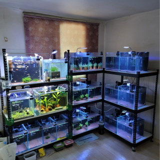 피피랙 3단 어항 선반 축양장 수족관 받침대 다이 철제 제작, 블랙, 500 x 400 x 1200 [3단], 없음