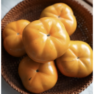 국내산) 전남 산지직송 아삭달콤 차량단감 / 당도보장 감칠맛나는 제철 단감 납작단감 사각단감, 1개, 5kg (중과, 27과내외)