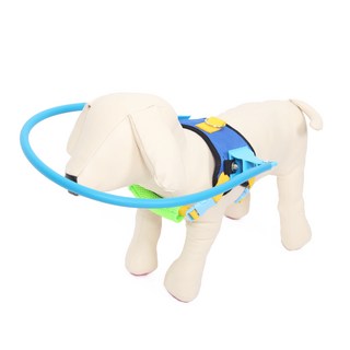 애구애구 강아지엔젤링 실명 시각장애견 출동방지링, 05_지켜줘 실드링 L, 1개