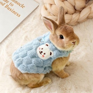 寵物衣服 貓咪衣服 幼犬服飾 小兔子保暖衣服 秋冬天防寒冷 侏儒垂耳兔棉衣 過冬用品, 紅色西瓜 -B款, 1個