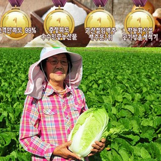 [1월 도착가능]무르지않고 맛있는 괴산절임배추 20k, 20kg, 1개, 배송요청사항에 희망도착일 기재