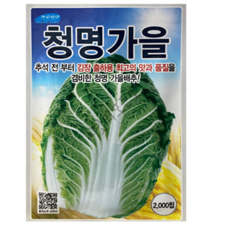 청명가을 배추씨앗 2000립 추석김장배추종자, 1개