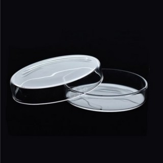 90mm유리 페트리디쉬 실험용 샬레 2개 초등교과실험