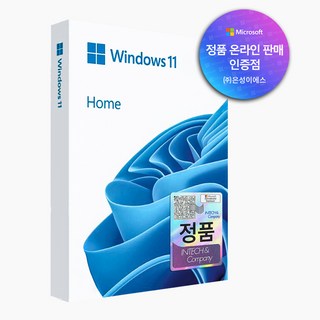 마이크로소프트 Windows 11 Home FPP USB [온라인공인인증점], 1개
