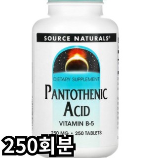 뉴트리코스트 판토세닉 애시드 비타민 B5 500mg, 250정, 1개