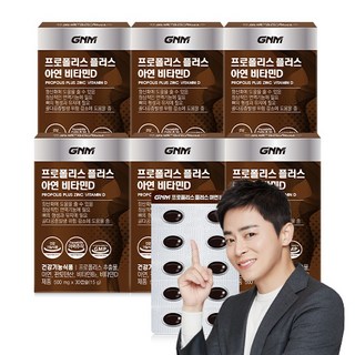 GNM자연의품격 프로폴리스05 30캡슐, 30정, 6개