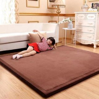 단색 거실 카페트 카펫 극세사 대형 러그 두꺼운 산호 양털 벨벳 매트리스 카멜 침대 다다미 아기 크롤링 매트 최신 일본 스타일 3cm