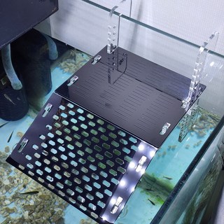 터틀홈 프리미엄 아크릴 거북이 육지 반수생 물거북쉼터, 1개, 블랙 아크릴