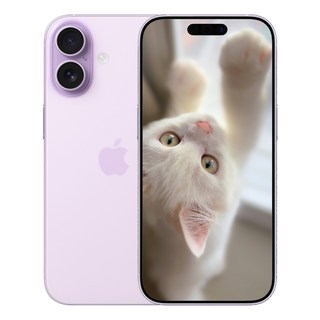 i폰 17 미개봉 새상품, 512GB, 라벤더(Lavender)