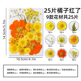 中花包組合 真花壓花 永生花 森林系少女寫真 壁畫 DIY水晶滴膠 乾燥花 植物標本, 8.25片橘子紅了