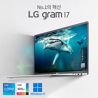 LG전자 그램 17인치 큰 대화면 화이트 노트북 WQXGA 초고해상도 C타입충전가능 우측 넘버키패드 탑재, 17Z95N, WIN11 Home, 8GB, 512GB, 스노우화이트