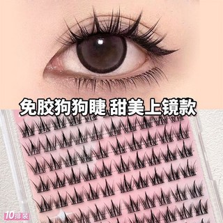 免膠100簇大容量3D立體假睫毛 犬系狗狗假睫毛 懶人自然濃密大眼, 1個, 免膠犬系100朵【無工具】