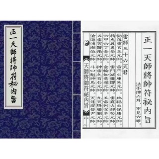 正一天師將帥符秘內旨 24頁