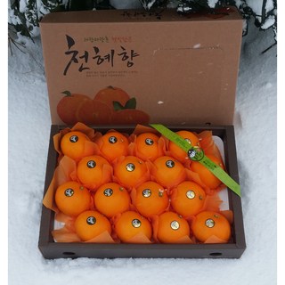 제주 천혜향 레드향 한라봉 가정용 선물용 설날 명절 선물, 천혜향 선물용 2Kg x 1BOX, 1개