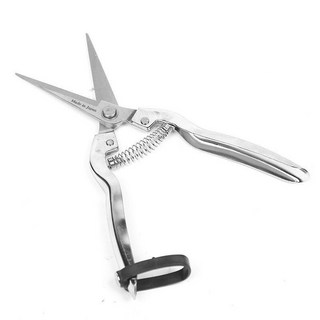 【臺灣出貨& 附發票】日本進口花枝剪摘果剪疏果剪埰果稀果剪葡萄剪枸杞疏花剪刀修枝剪, 1個, 升級款不鏽鋼稀果剪