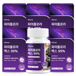 대용량 파미 플로라 99% 흑마늘 생강 식약청인증, 6개, 120정