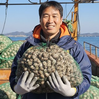 [벌교생산자직송] 보성군 벌교 여자만 새꼬막, 1박스, 10kg (중)
