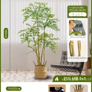 인조 나무 실내 장식 가든 로비 반얀트리 가든, 1.6 그린 난디나 짠 꽃바구니