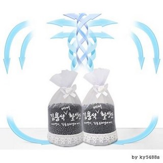 김용석 에어활성탄 400g 제습제 탈취제 새집증후군 유해냄새 반영구, 1개