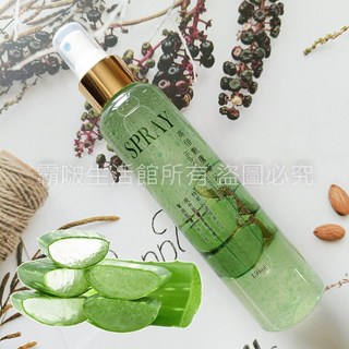 Q10 & ALOE EXTRACTION 蘆薈微導沁涼噴霧 高倍數精華 深層補水 舒緩肌膚 清爽保濕 150ml, 1個