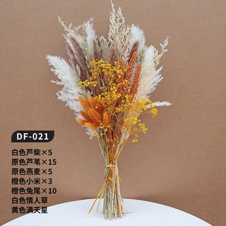 天然乾燥花束 蒲葦蘆葦永生花，居家裝飾客廳擺設，乾燥花束插花拍攝道具, DF-021號