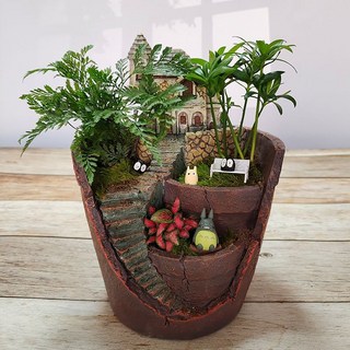 創意苔蘚微景觀生態瓶龍貓盆栽桌面辦公室DIY室綠植室內小植物pd, 綠野仙蹤（全套送工具）, 1個