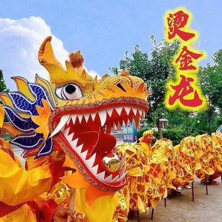 舞龍全套道具整套國標競賽2號3號9節燙金綢緞布燈光龍頭社火道具, 其他顏色請聯系客服,女子學生專用五節龍