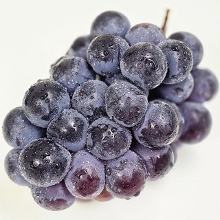 팜앤프룻 국내산 고당도 포도 거봉, 1개, 2kg특품 (3-4수)