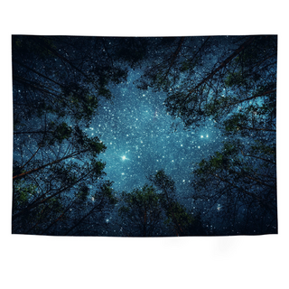 우아한클릭 일러스트 드로잉 패브릭포스터 천 가리개커튼 소형 대형 특대형, A-14(GT092)