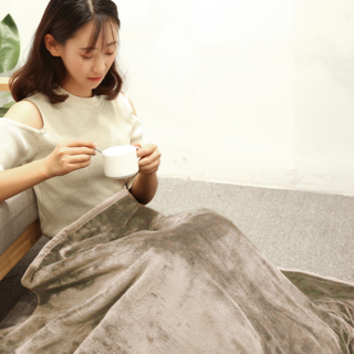 RichMagic 양면 극세사 전기요 온도조절 타이머 기능물세탁 플란넬 전기담요 가정용 전기장판 전기매트 130*180cm, 베이지