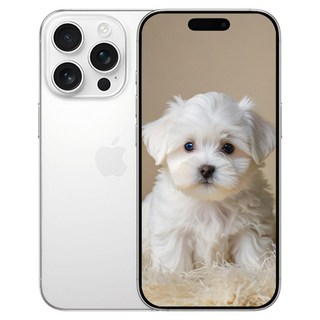 아이폰 16 프로 새제품 정품 512GB, 화이트 티타늄
