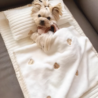 허그마이펫 강아지 이불세트 곰돌이 자수 애견이불 침구베개세트