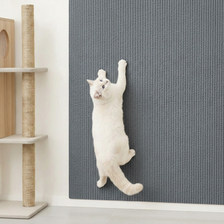 고양이 벽 스크래쳐 부착식 2M, 1개, 모던그레이