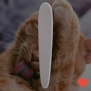 고양이장난감 고양이 브러쉬 그루밍 털 빗 혓바닥, 본상품