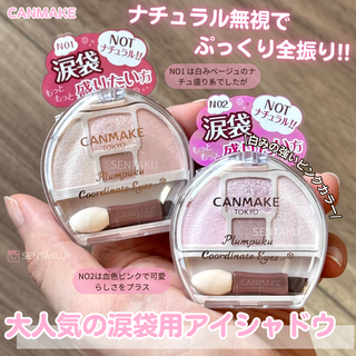 Canmake NEO系列 打亮臥蠶盤 臥蠶眼影盤 淚袋眼影盤 顯色款 打造立體臥蠶, N02, 1個