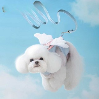 강아지 하네스 목줄 몸줄 바디 날개 산책 외출 개줄, 블루 스타 날개 S, 1개