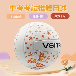 【高彈穩定】5號排球 彩色排球 五號排球 標準排球 一般排球 室內排球 室外排球 橡膠排球, 1個, 楓葉綠-楓葉滿園詩意盎然-加厚耐磨升級款,單球-無配件-無延保