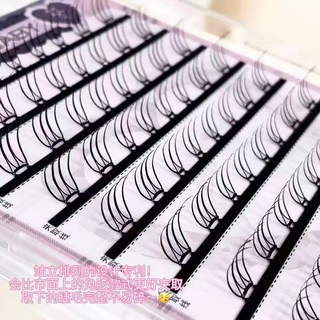 oliveyoung同款睫毛！ins韓式女團U型假睫毛根根分明韓系清透感, 1個, 化妝室同款【膠水款】站立式排列