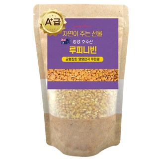 에코홀릭 루피니빈 호주산 루피니빈콩 루핀콩, 1개, 1kg