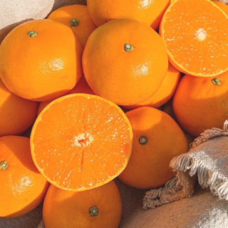 하루딱100박스 최대16브릭스 특품 고당도선별 천혜향, 1박스, 2kg