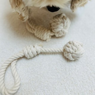 순면 강아지 터그놀이 이갈이 치실 장난감 국산, 작은공, 1개