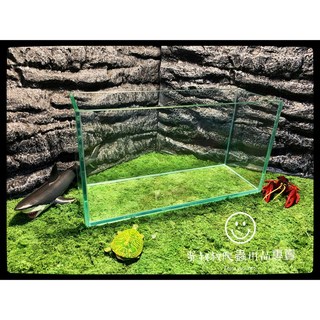 蛋叔叔-EGG招財風水缸30cm優白缸 魚缸 水草缸 烏龜缸 ADA高透 孔雀魚 新手缸 屏風缸 孔雀缸, 1個, 招財風水缸(空缸)