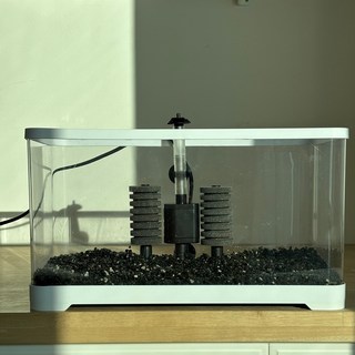 안깨지는 3세대 입문자용 풀세트 어항, 1개, 아이보리