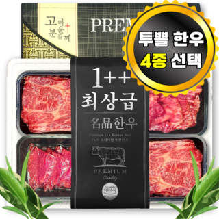 [투뿔 최고급 한우 선물용] 1++ 한우선물세트 구이용 국내산 명품 소고기 모듬, 1개, 900g