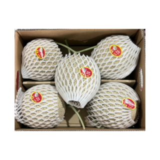 국내산 초고당도 머스크 메론, 1개, 5수 6.5KG/내외