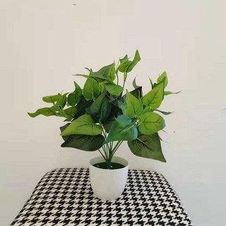 【Sunday】仿真龜背葉盆栽，藤編花籃龜背芋，客廳仿真植物擺件, 35釐米綠蘿2只+白盆, 1個