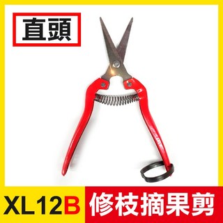 板橋現貨【摘果剪】園藝剪.修枝剪.果樹剪.花枝剪刀.樹枝剪.花剪.稀果剪.採果剪刀【傻瓜批發】XL12, 1個, (XL12B)摘果剪-直頭