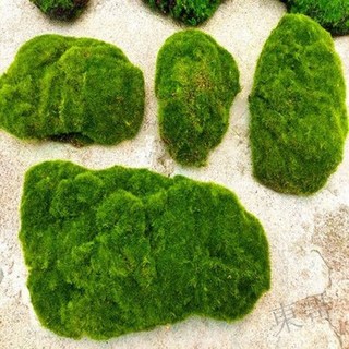 熱賣 仿真苔蘚微景觀人造草坪仿真草皮苔蘚造景苔蘚地毯假草皮地毯草皮裝飾庭園草坪景觀草皮2QXW, 1個, 4片青苔 18-32釐米不等
